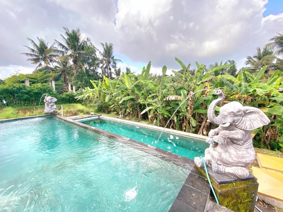 Ubud Rice Field House Eksteriør bilde