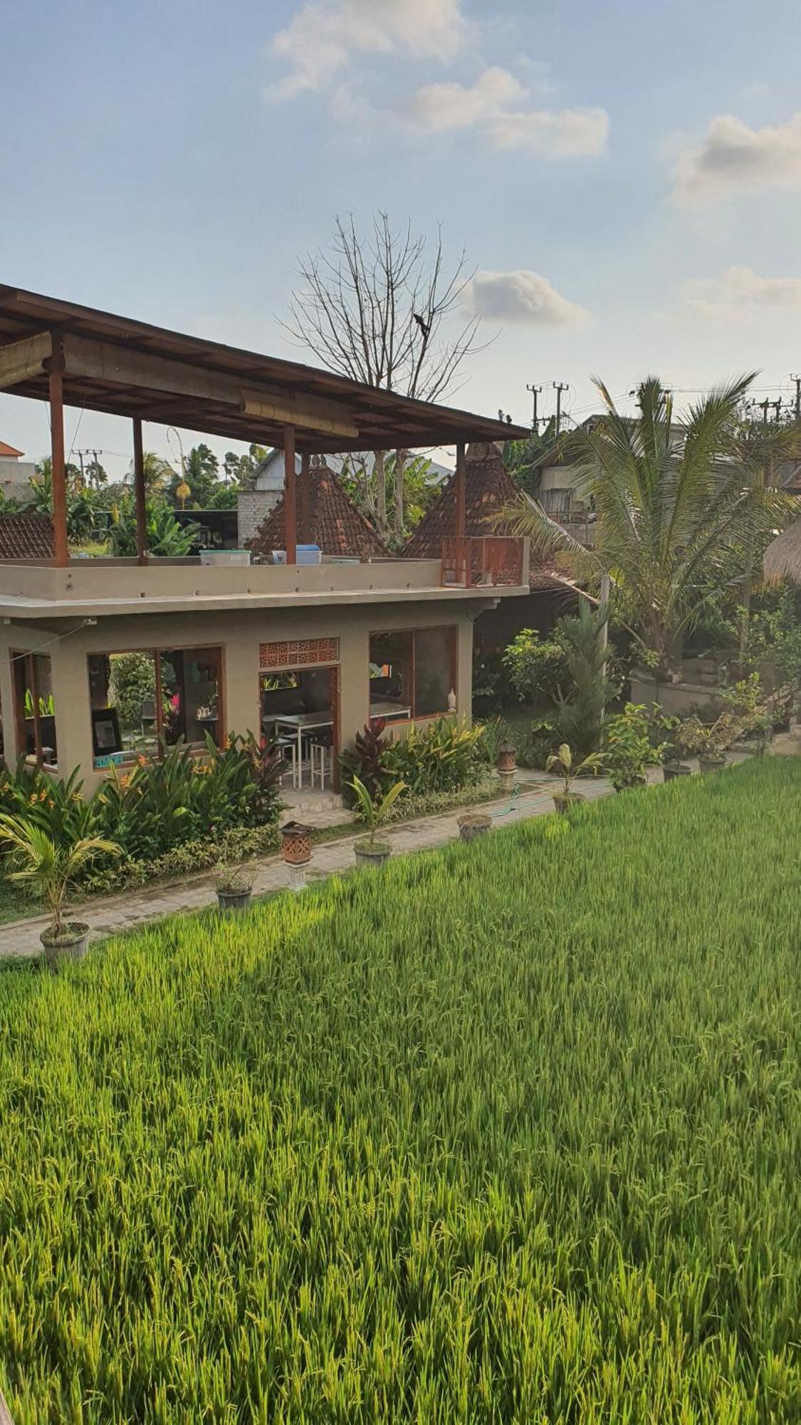 Ubud Rice Field House Eksteriør bilde