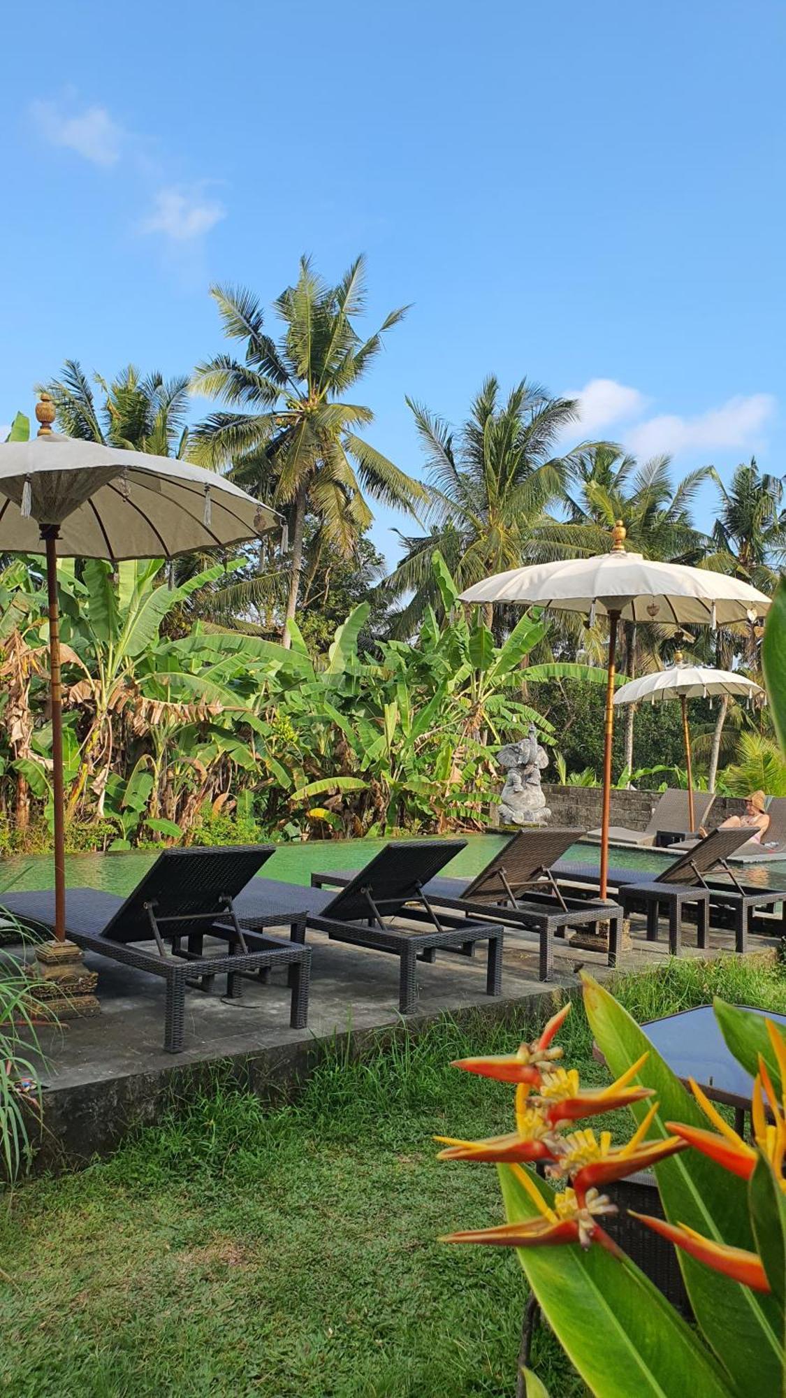 Ubud Rice Field House Eksteriør bilde