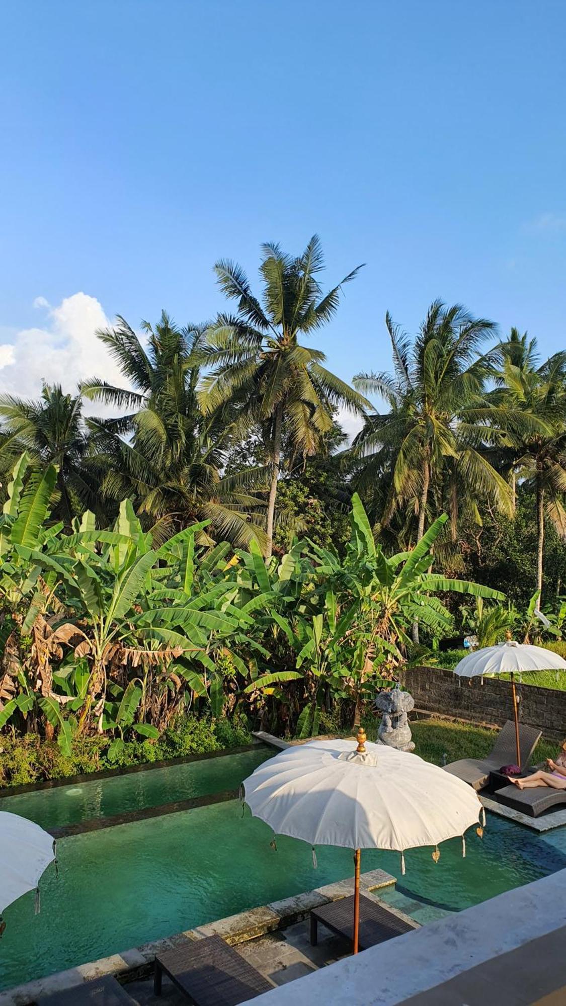 Ubud Rice Field House Eksteriør bilde